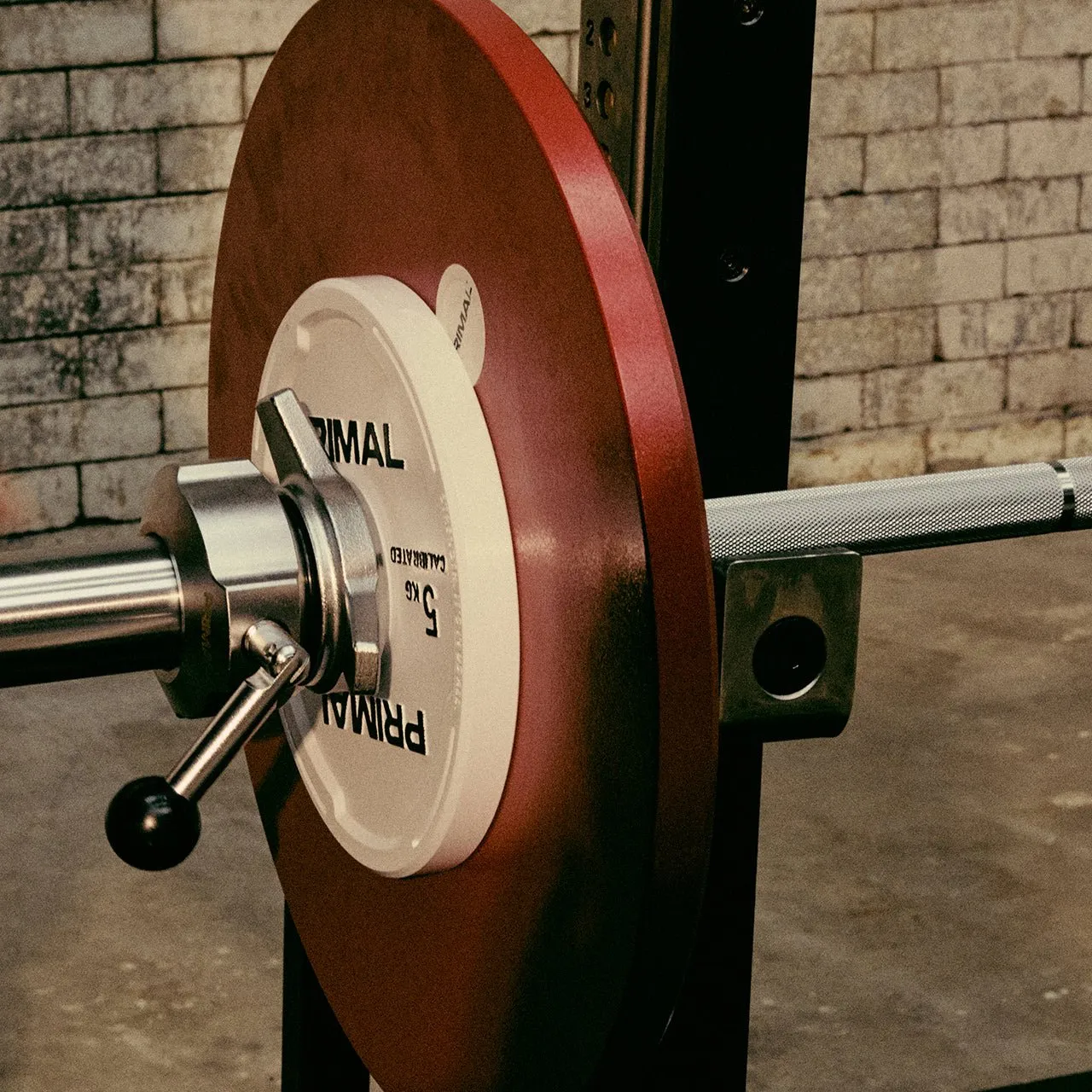 Primal Competition Colliers calibrés 2x2,5kg chromés
