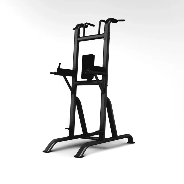 Jordan Chin Dip Knee Raise station traction dips noir