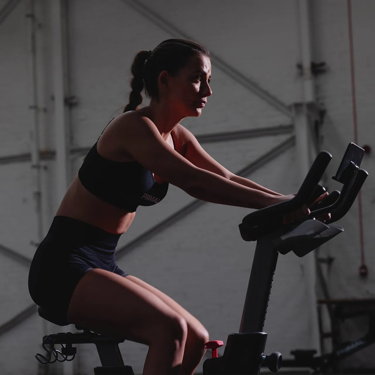 Primal Personal Home Indoor Cycle vélo spinning 130 kg