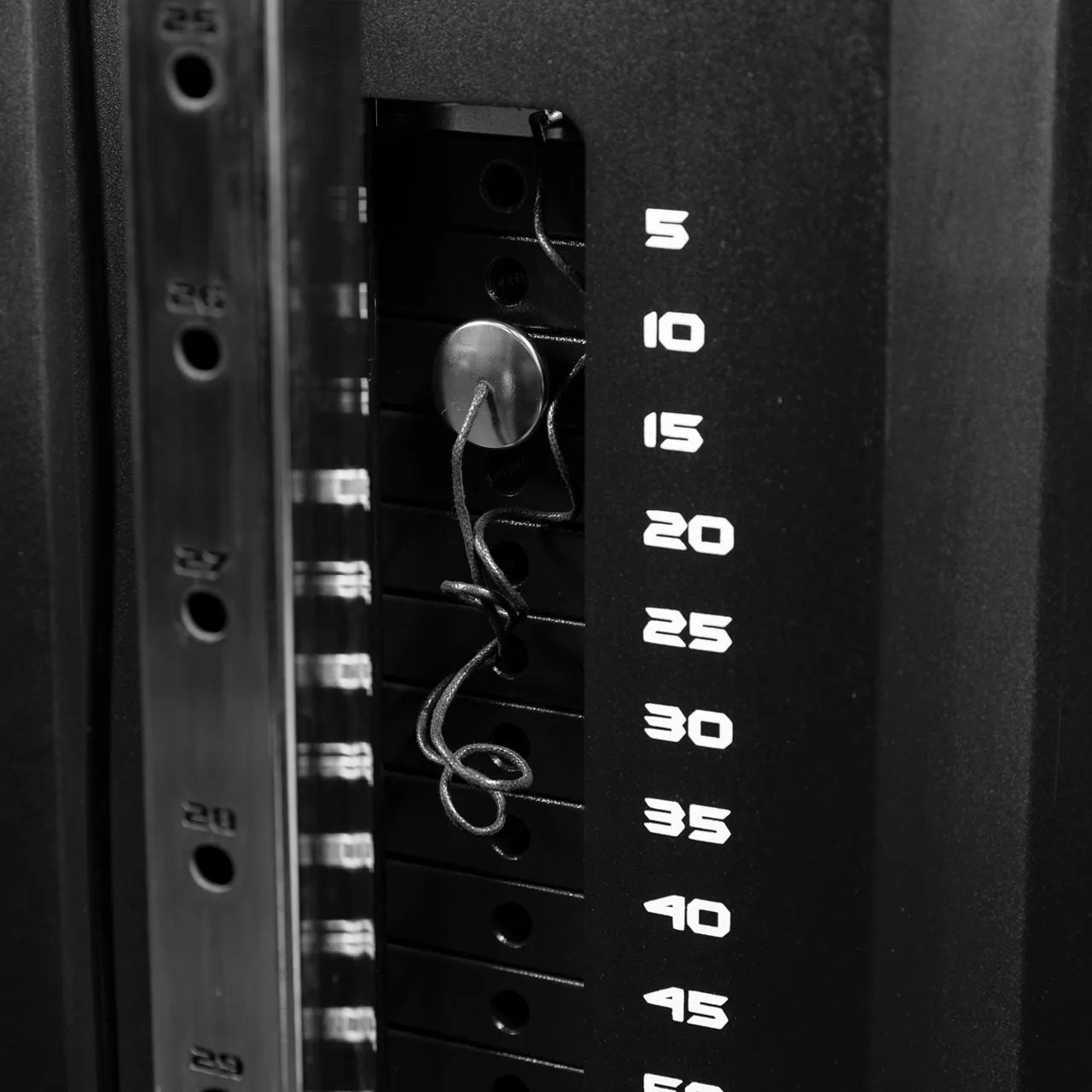 Primal Hi/Lo poulie station 100 kg traction