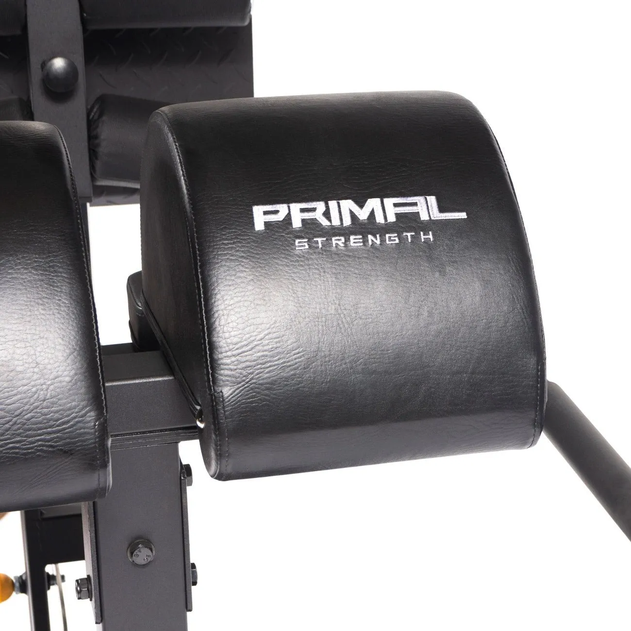 Primal Strength Performance GHD banc glute ham developer