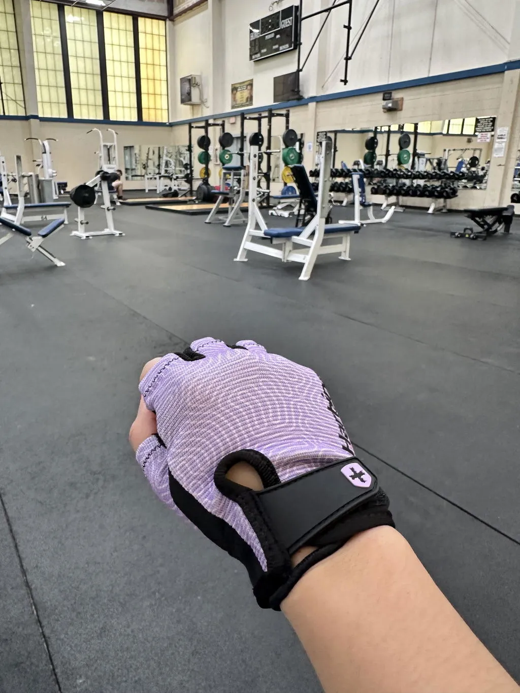 Harbinger Power Gloves 3.0 gants femme lavande