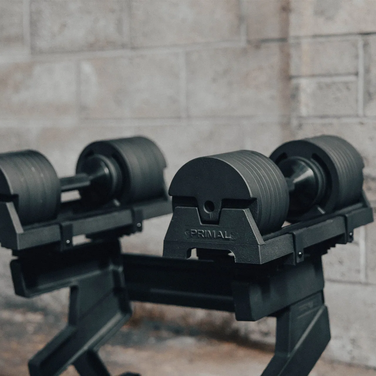 Primal Personal haltère réglable paire 40 kg avec support
