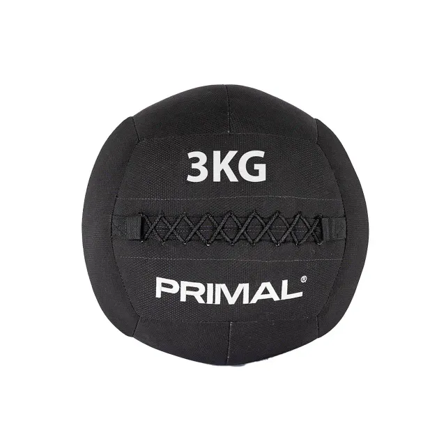 Primal Strength Performance Kevlar Wall Ball ballon 6 kg