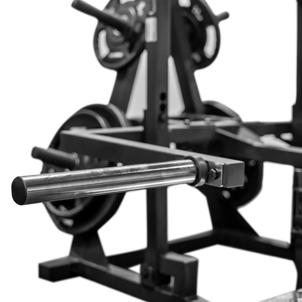 Primal Pro Belt Squat machine ceinture charge olympique