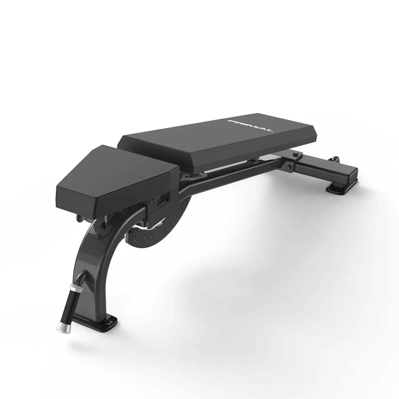 Primal Club banc musculation réglable 300 kg roulettes