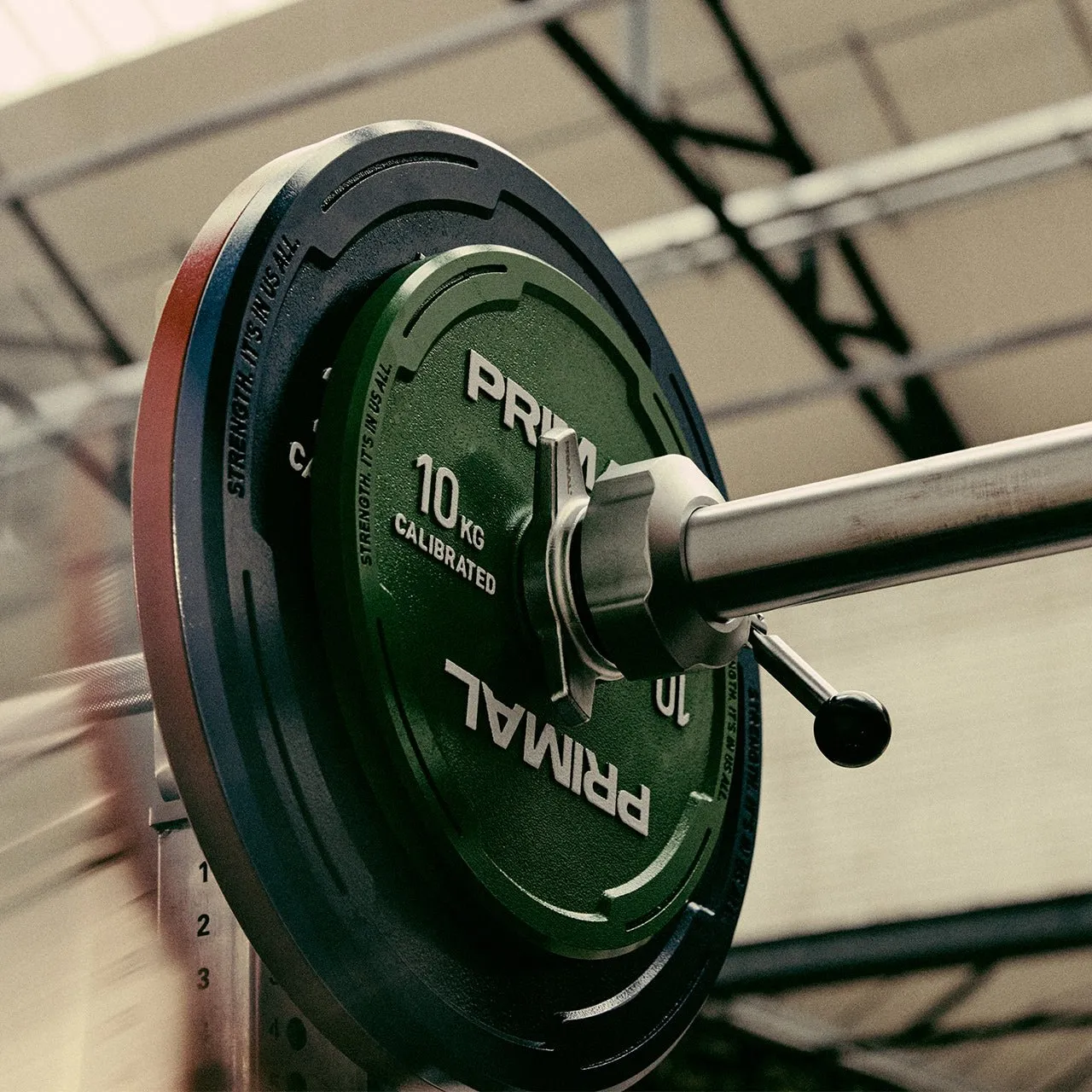 Primal Competition Colliers calibrés 2x2,5kg chromés