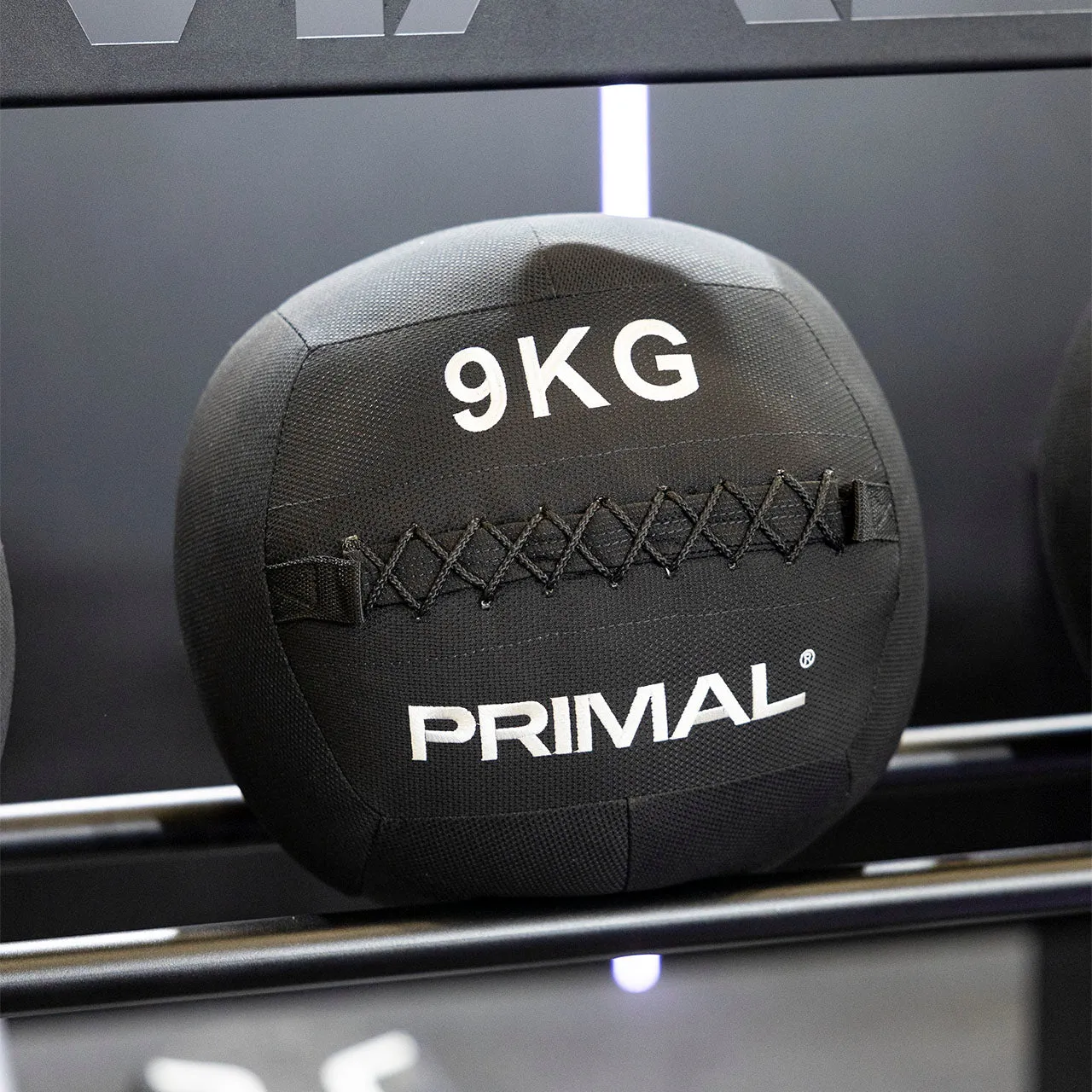 Primal Strength Performance Kevlar Wall Ball ballon 6 kg