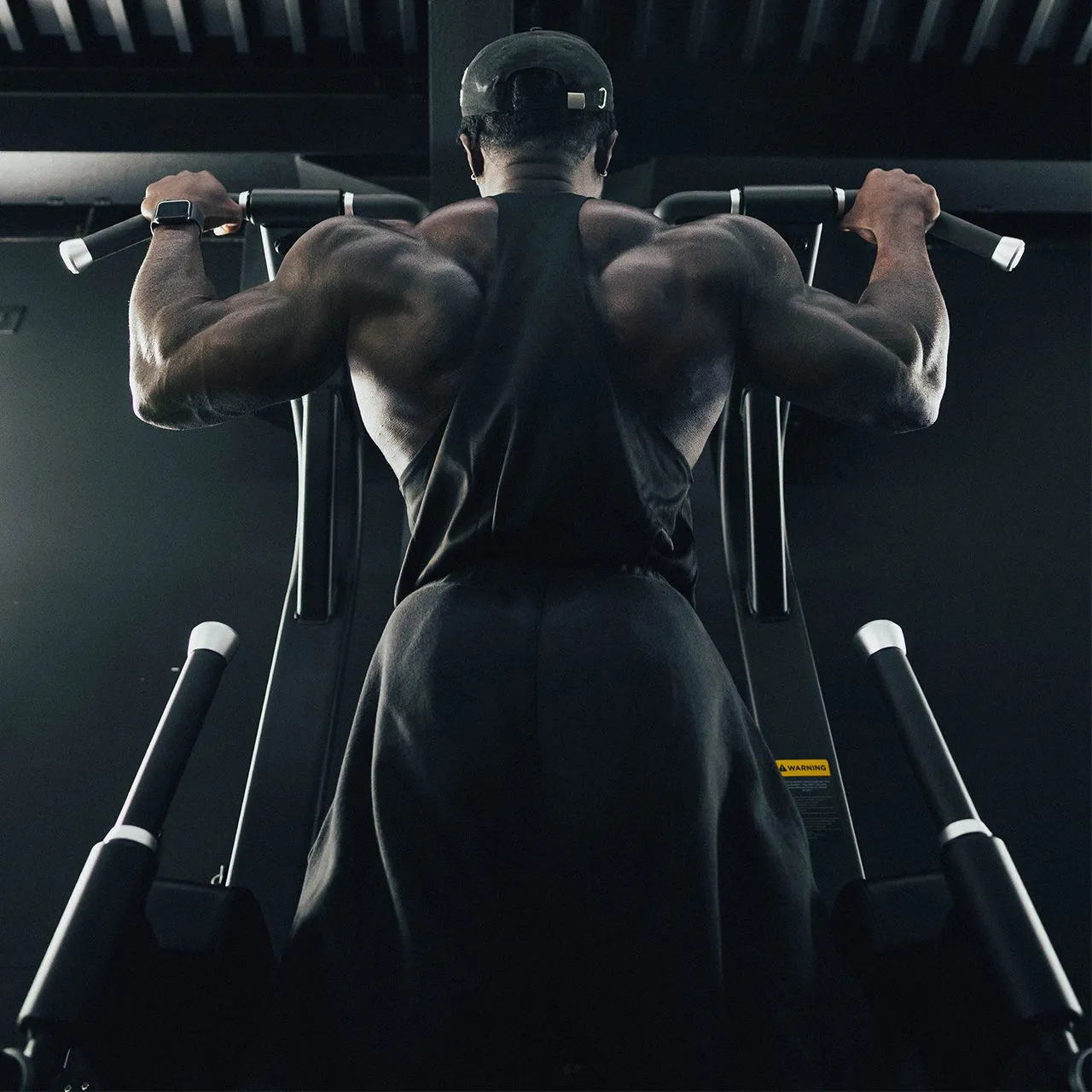 Primal Strength Performance Club station tractions dips