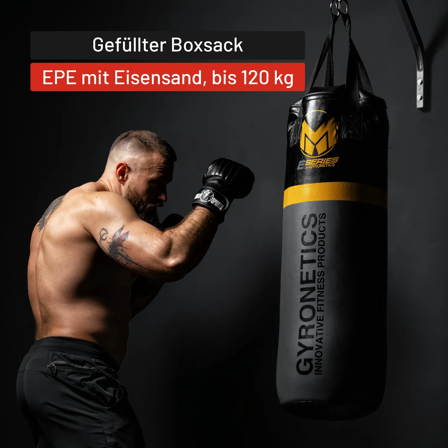 Gyronetics E-Series sac de frappe 80 cm traction murale