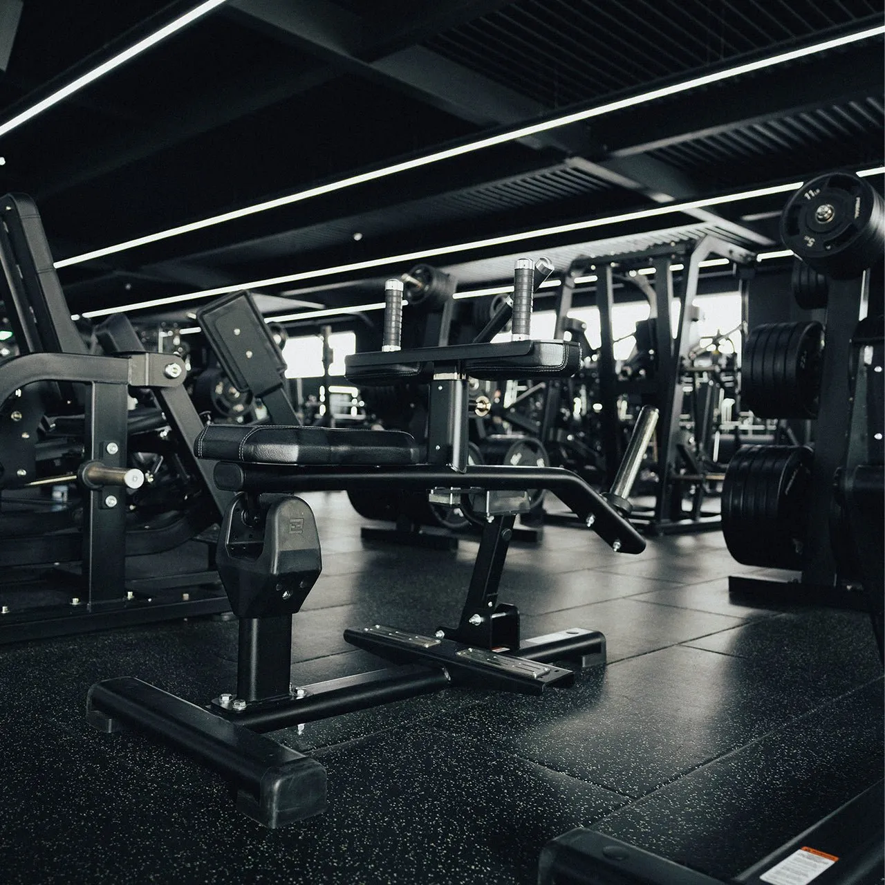 Primal Strength Club Seated Calf Raise machine mollets 230 kg