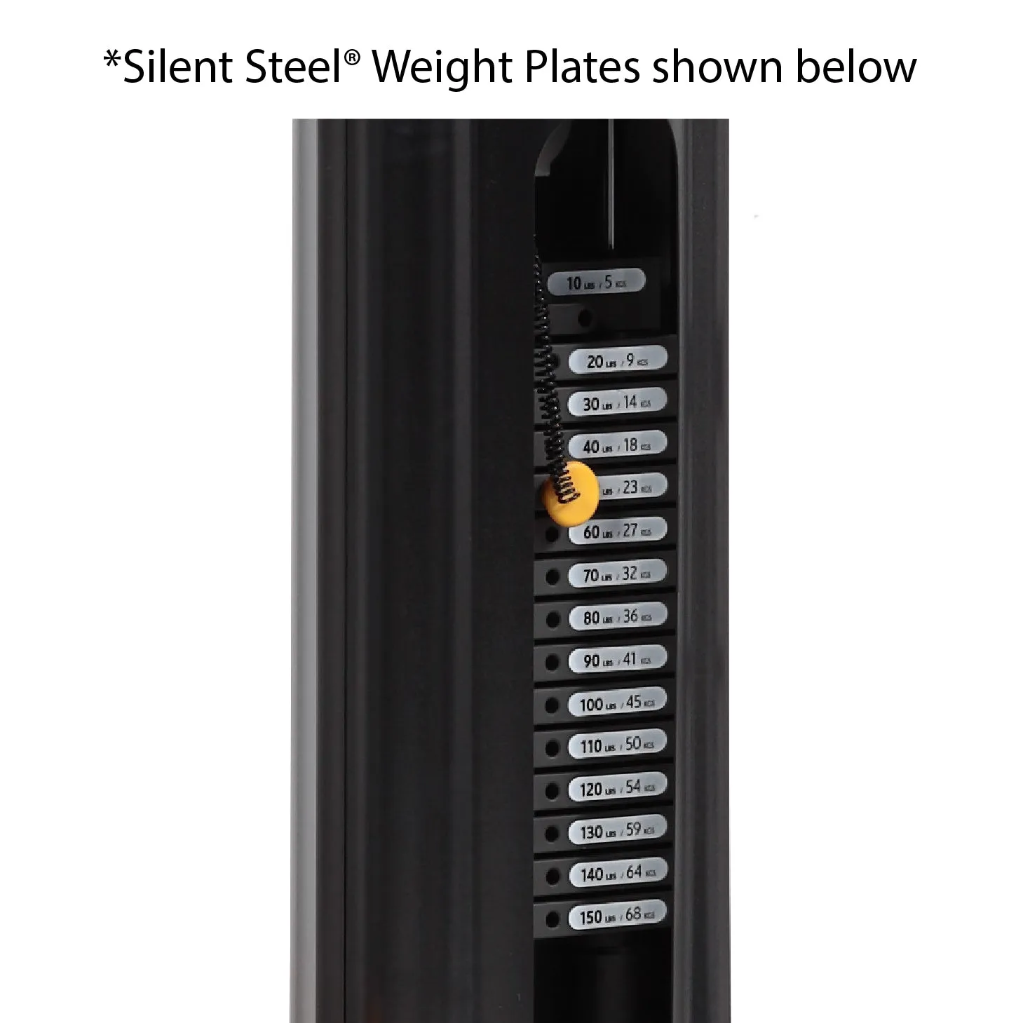 Hoist Fitness Silent Steel poids additionnel 5 lb