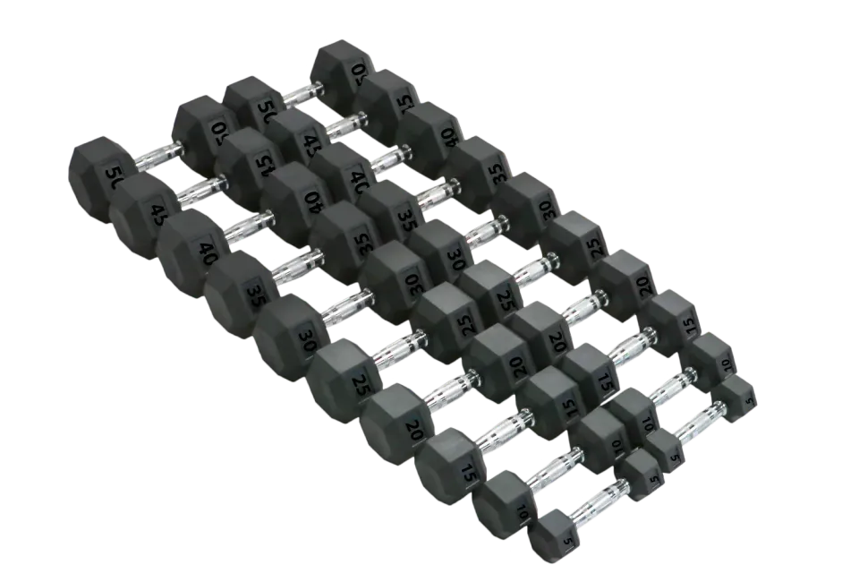Hoist Fitness haltères hexagonaux caoutchouc paire