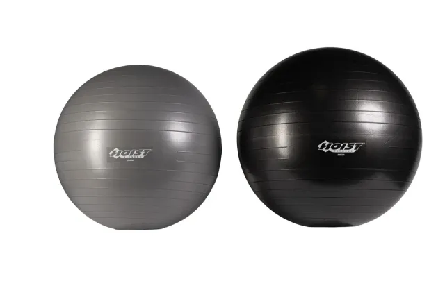 Hoist Fitness Stability Ball ballon de gym 55 cm PVC
