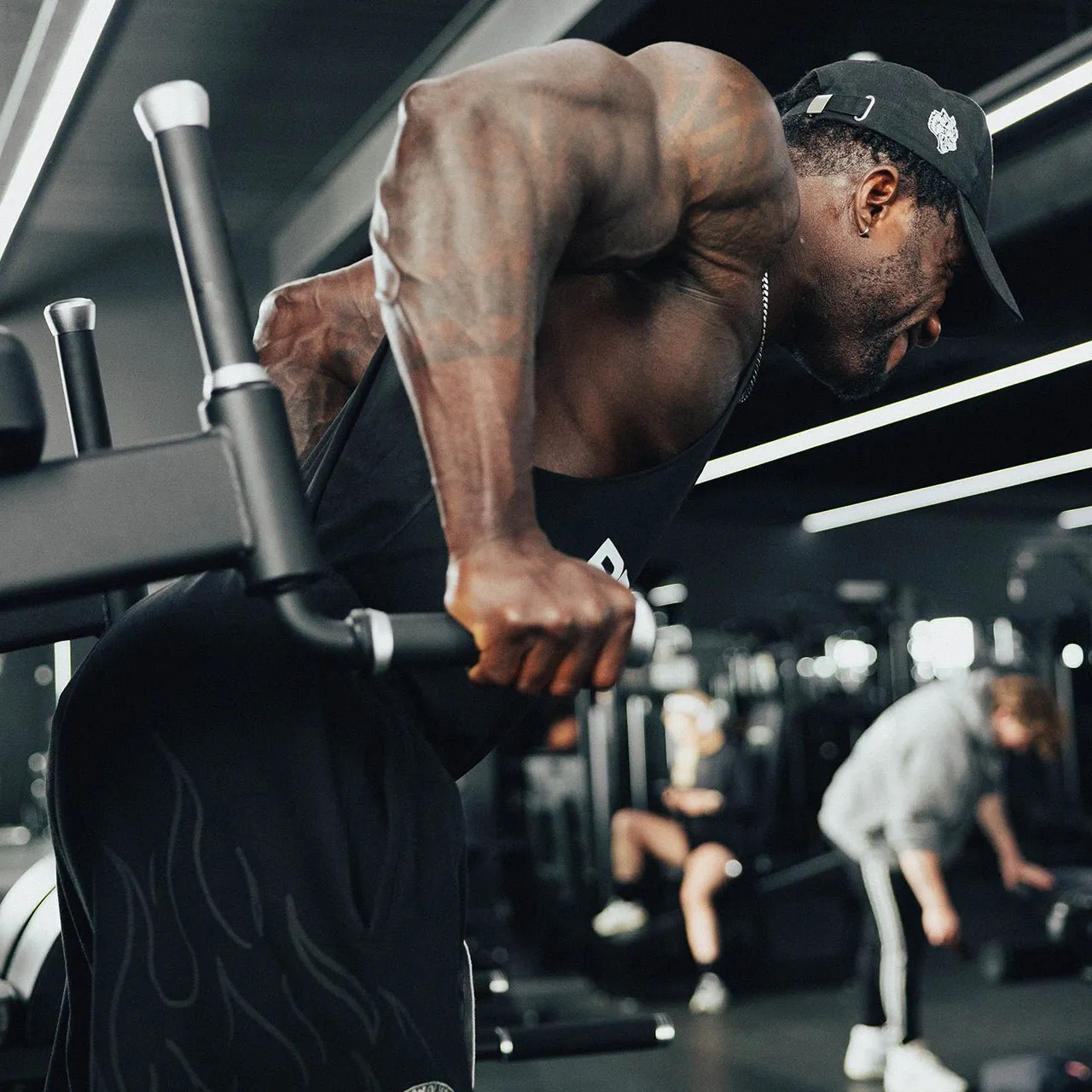 Primal Strength Performance Club station tractions dips