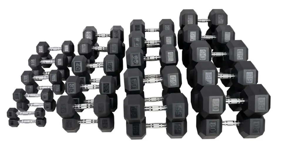 Hoist Fitness Hex haltère caoutchouc paire 2,5 lbs revêtue