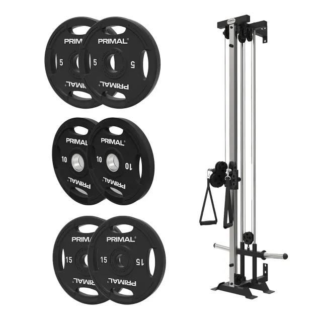 Primal Single Pulley Pack poulie murale + disques 60 kg