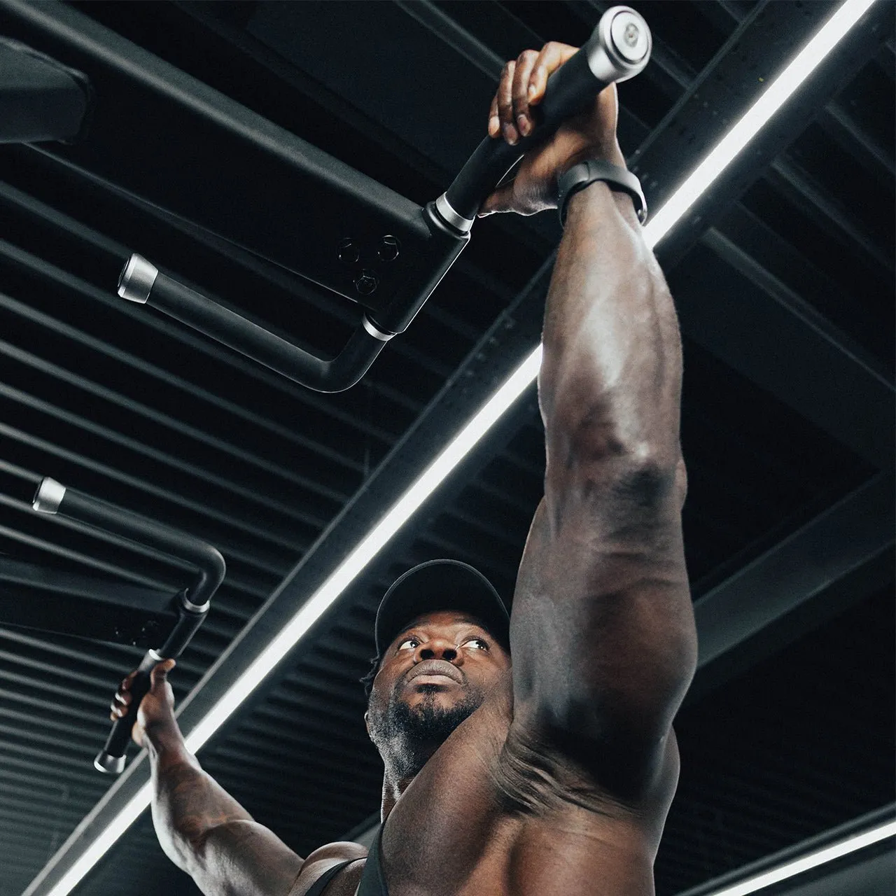 Primal Strength Performance Club station tractions dips