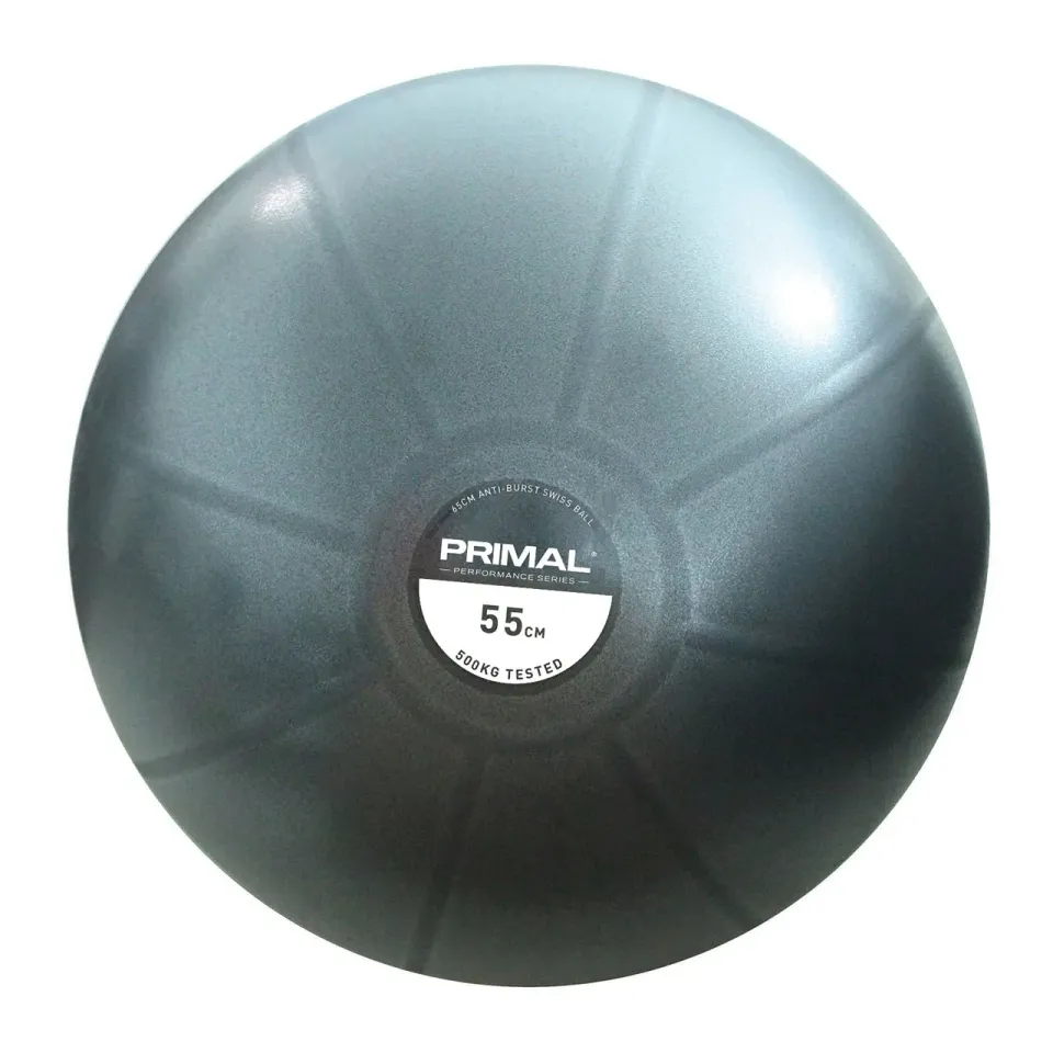 Primal Performance swiss ball ballon gym 65 cm PVC 500 kg