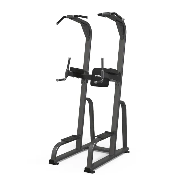 Primal Strength Performance Club station tractions dips