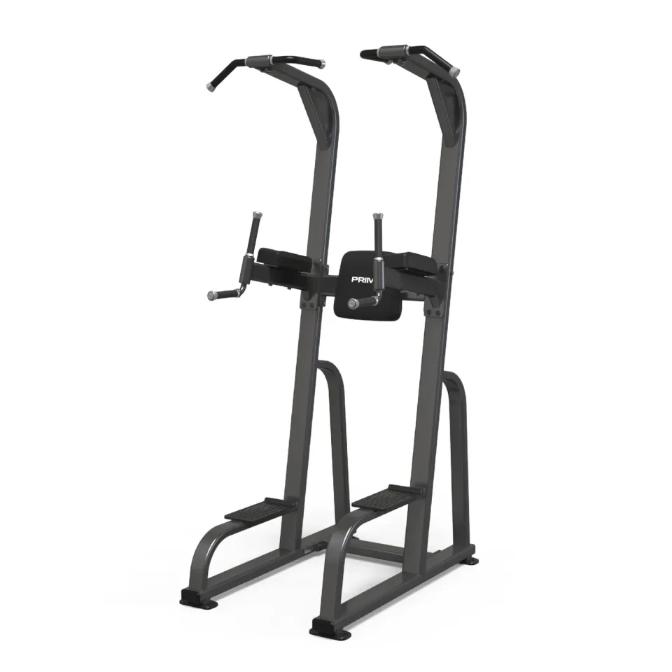 Primal Strength Performance Club station tractions dips